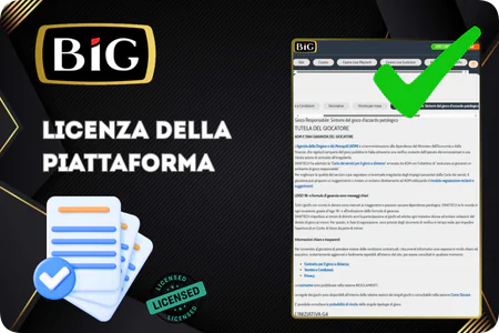 Bigcasino scaricare License