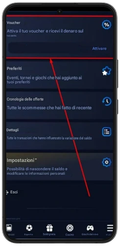 inserire codice promo BIG Casino